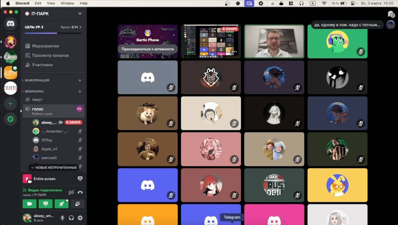 Картинка с онлайн занятия в Discord